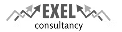 Excel consultancy